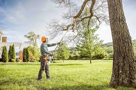 Reliable Chino Hills, CA Tree Removal and Landscaping Services Solutions